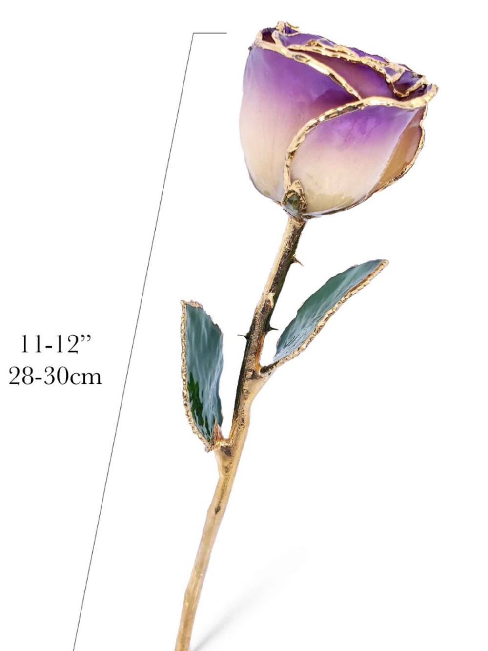 24K Gold Dipped White to Amethyst Rose💜 - Picture 9 of 11